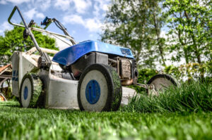 lawn care and grass cutting