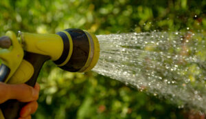 watering services